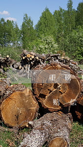 重磅!最高法院发布年度十大案件,司法史上赔偿最高的侵害商业秘密案入选(案情详细解读)