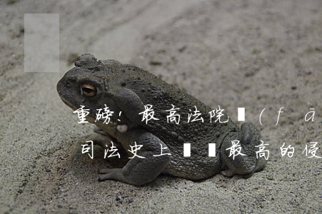 重磅!最高法院發(fā)布年度十大案件,司法史上賠償最高的侵害商業(yè)秘密案入選(案情詳細(xì)解讀)