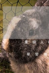重磅！人社部發布社會保險領域嚴重失信人名單管理暫行辦法（官方文件）