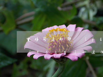 重磅！司法部印發(fā)國(guó)家統(tǒng)一法律職業(yè)資格考試三個(gè)規(guī)則！
