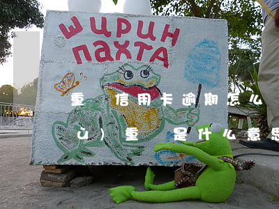 重組信用卡逾期怎么辦(信用卡逾期債務(wù)重組是什么意思)