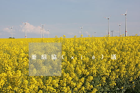 重組協(xié)議