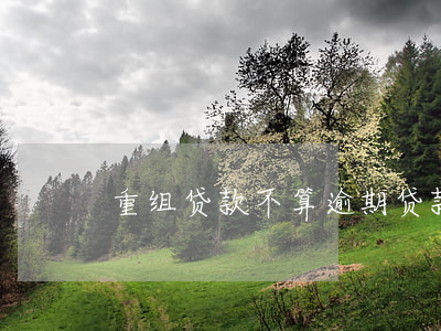 重组贷款不算逾期贷款(贷款重组期限规定)