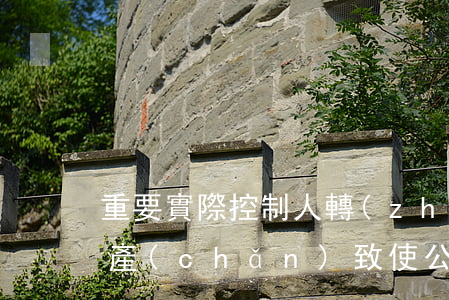 重要！實際控制人轉(zhuǎn)移公司財產(chǎn)致使公司無力還債，應(yīng)對公司債務(wù)承擔(dān)連帶賠償責(zé)任！