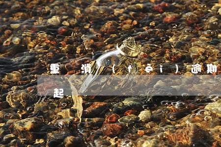 重銀消費(fèi)逾期一個(gè)月會起訴嗎