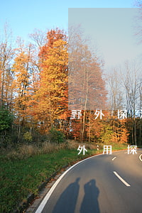 野外探測(cè)法律法規(guī)(野外用探測(cè)器探寶違法嗎)