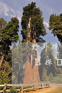 野外探測法律法規(guī)(野外用探測器探寶違法嗎)