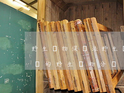 野生動物保護法(野生動物保護法國家重點保護的野生動物分為)