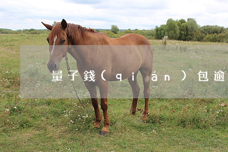 量子錢(qián)包逾期怎么還款