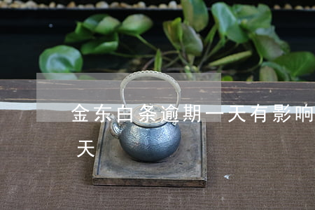 金东白条逾期一天有影响吗 金东白天逾期一天