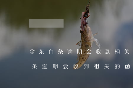 金东白条逾期会收到相关的函件嘛-金东白条逾期会收到相关的函件嘛是真的吗