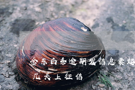 金东白条逾期发信息要起诉我(金东白条逾期几天上征信)