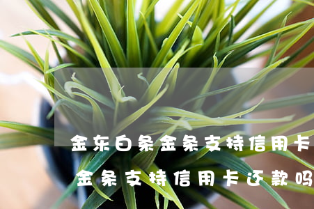 金东白条金条支持信用卡还款吗-金东白条金条支持信用卡还款吗是真的吗