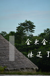 金东金条还了部分逾期还会上门吗-金东金条还了部分逾期还会上门吗是真的吗