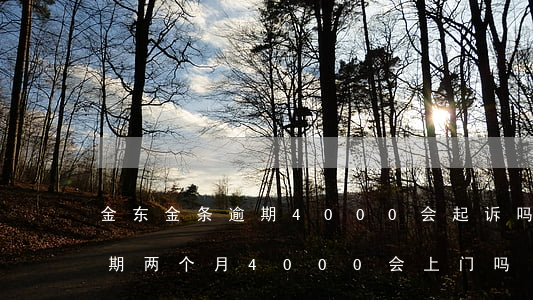 金东金条逾期4000会起诉吗(京东金条逾期两个月4000会上门吗)