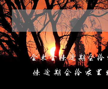金东金条逾期会给家里发告知函吗-金东金条逾期会给家里发告知函吗是真的吗