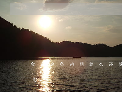 金东金条逾期怎么还款(金东金条逾期怎么还款)