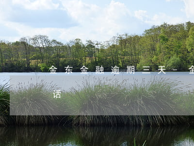 金东金融逾期三天-金东金融逾期多久打电话