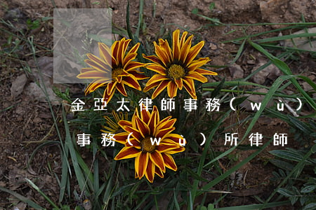 金亞太律師事務(wù)所律師(金亞太律師事務(wù)所律師)