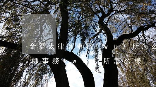 金亞太律師事務(wù)所怎么樣(金亞太律師事務(wù)所怎么樣)