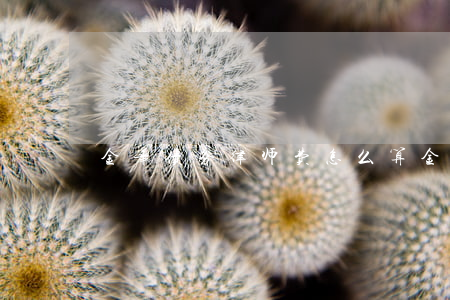 金华债务律师费怎么算(金华债务咨询公司)