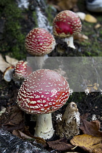 金华市武义县债权债务律师多少钱-金华市武义县债权债务律师多少钱一年