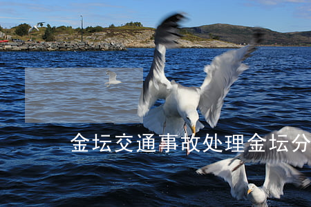 金坛交通事故处理(金坛分局交通警察大队)