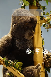 金字塔销售计划有哪些特征
