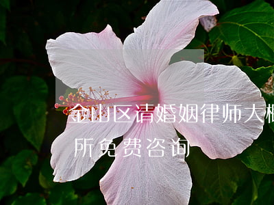 金山区请婚姻律师大概多少钱(金山律师事务所免费咨询)