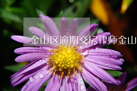 金山区逾期交房律师(金山区逾期交房律师)