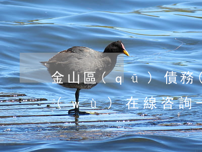 金山區(qū)債務(wù)律師法律服務(wù)在線咨詢-金山區(qū)債務(wù)律師法律服務(wù)在線咨詢電話
