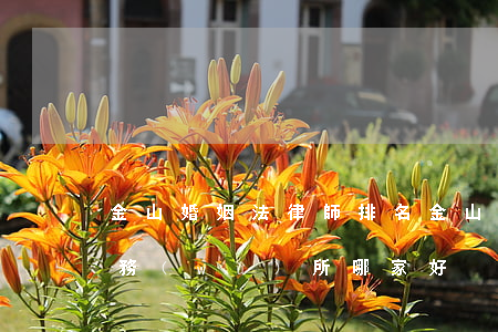 金山婚姻法律師排名(金山區(qū)律師事務(wù)所哪家好)