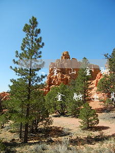 金山金融逾期會(huì)到家里去嗎 金山金融逾期幾天爆通訊錄