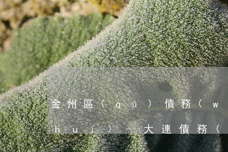 金州區(qū)債務(wù)律師找誰(shuí)-大連債務(wù)律師