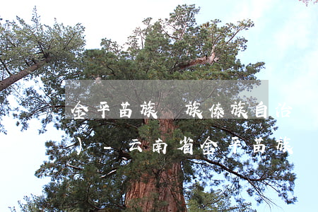 金平苗族瑤族傣族自治縣逾期申報(bào)-云南省金平苗族瑤族傣族自治縣