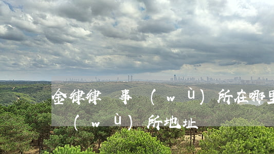 金律律師事務(wù)所在哪里(金鵬律師事務(wù)所地址)