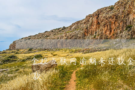金投互联网逾期未还款(金投互联网逾期未还款)