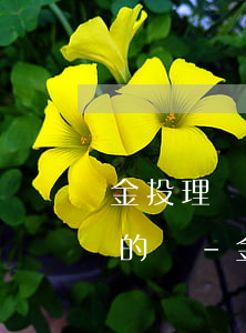金投理財產(chǎn)品良性逾期要回來的嗎-金投理財產(chǎn)品良性逾期要回來的嗎安全嗎
