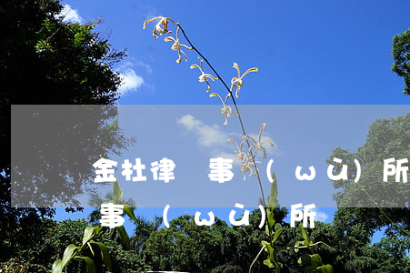 金杜律師事務(wù)所招聘要求(金杜法律事務(wù)所)