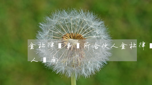 金杜律師事務所合伙人(金杜律師事務所合伙人魯南)