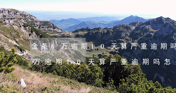 金条6万逾期10天算严重逾期吗-金条6万逾期10天算严重逾期吗怎么办