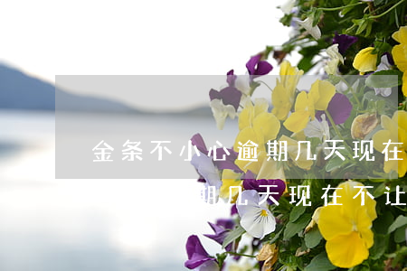 金条不小心逾期几天现在不让用了-金条不小心逾期几天现在不让用了怎么办