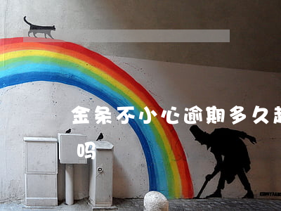 金条不小心逾期多久起诉(金条逾期会被起诉吗)