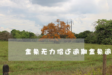 金条无力偿还逾期(金条逾期如何补救)