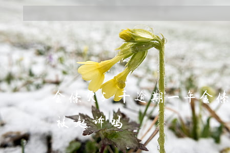 金条欠5千逾期一年(金条逾期5000块会被起诉吗)