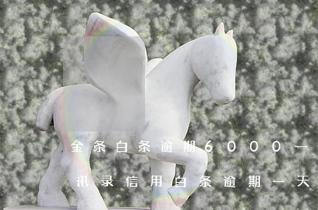 金条白条逾期6000一个月了会不会爆通讯录（信用白条逾期一天要爆我通讯录）