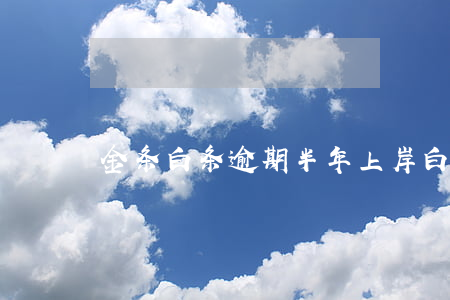 金条白条逾期半年上岸(白条逾期半年了)