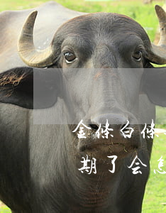 金条白条逾期有什么影响-京东白条金条逾期了会怎么样?