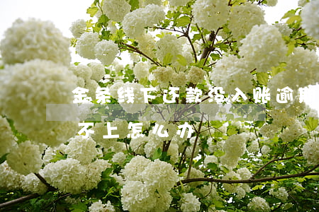 金条线下还款没入账逾期(金条逾期了暂时还不上怎么办)