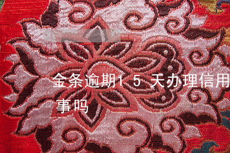 金条逾期15天办理信用卡(金条逾期5天有事吗)